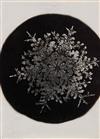 BENTLEY, WILSON A. (1865-1931) Suite of 4 photographs of snow crystals.